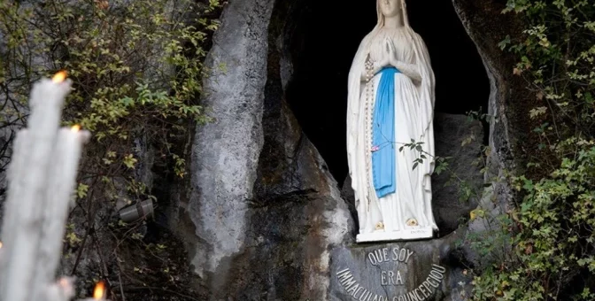 Boletín Aleluya 8 de febrero 2026