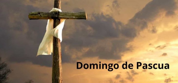 Boletín Aleluya 5 de abril 2026